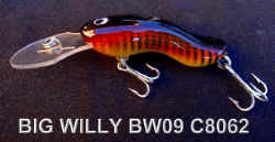 BIG WILLY BW09 C8062