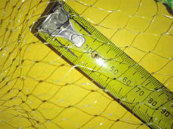 PA272277.JPG (96504 bytes)