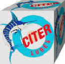 citer_logo.jpg (17430 bytes)