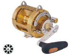 TiCA Team SB Series